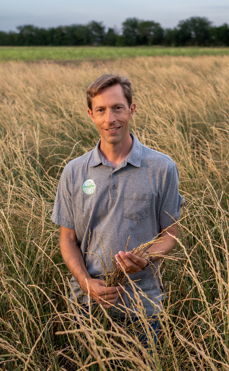 Man standing in field of grain holds onto bunch of it