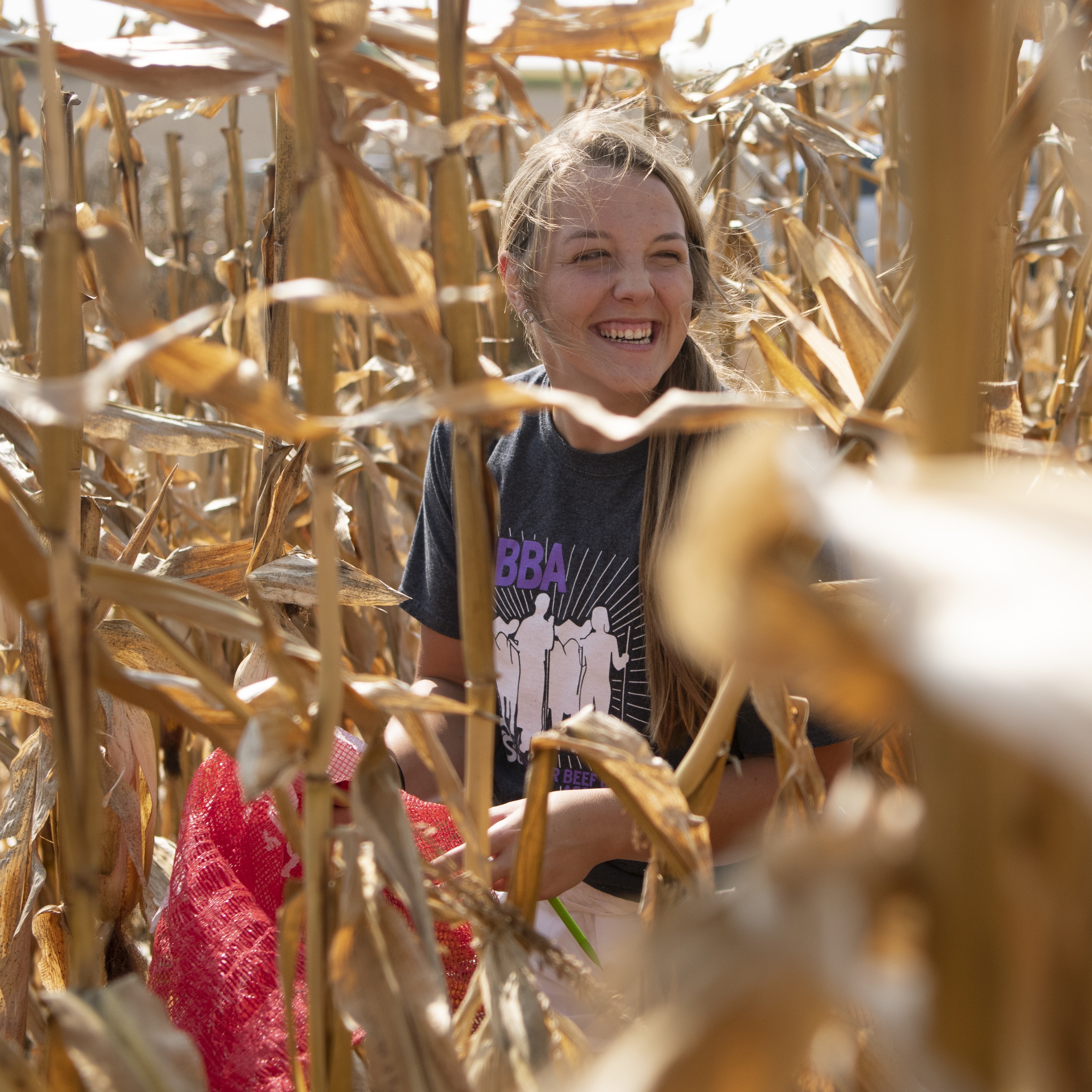 A female student studies the corn