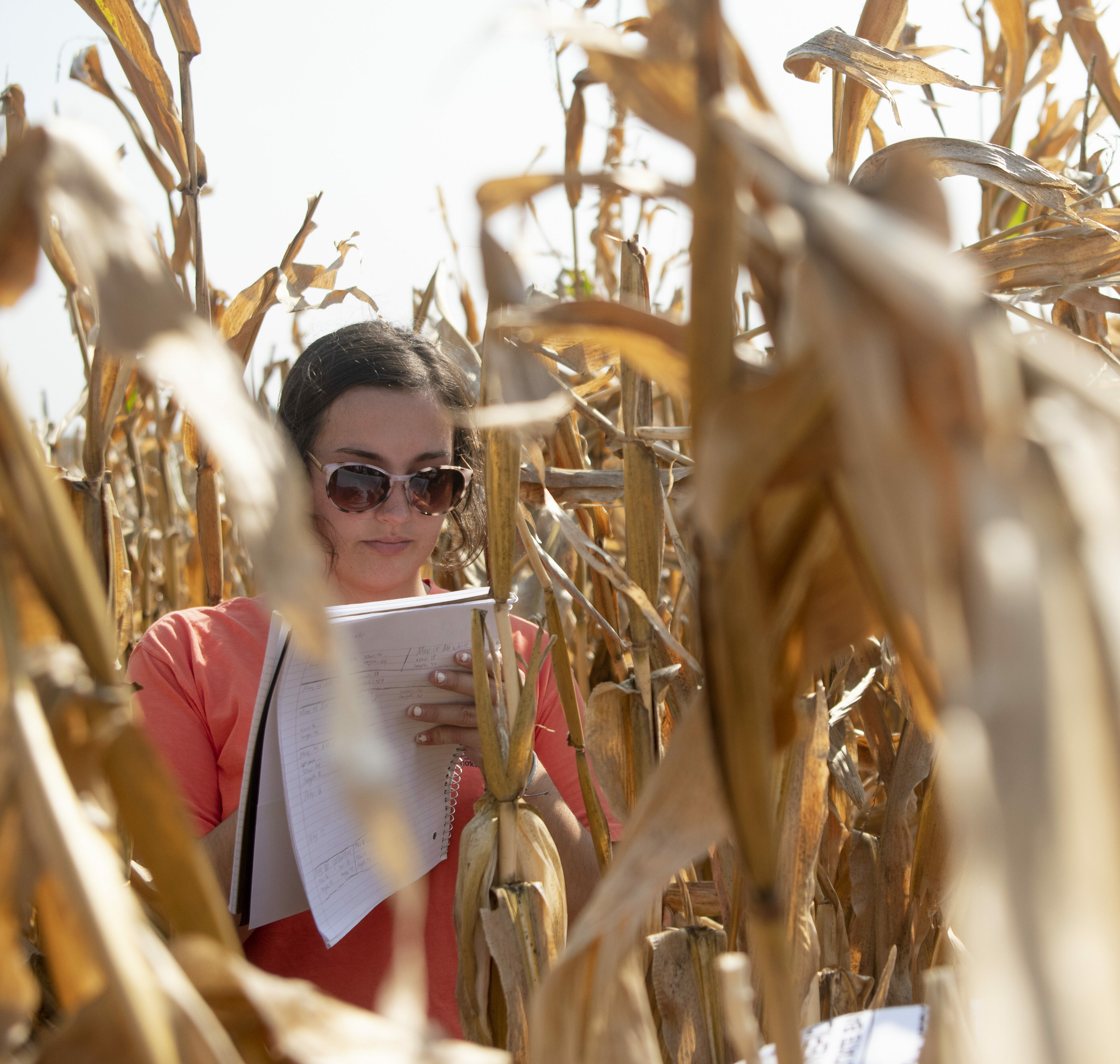 a female student takes notes about a corn crop in the field
