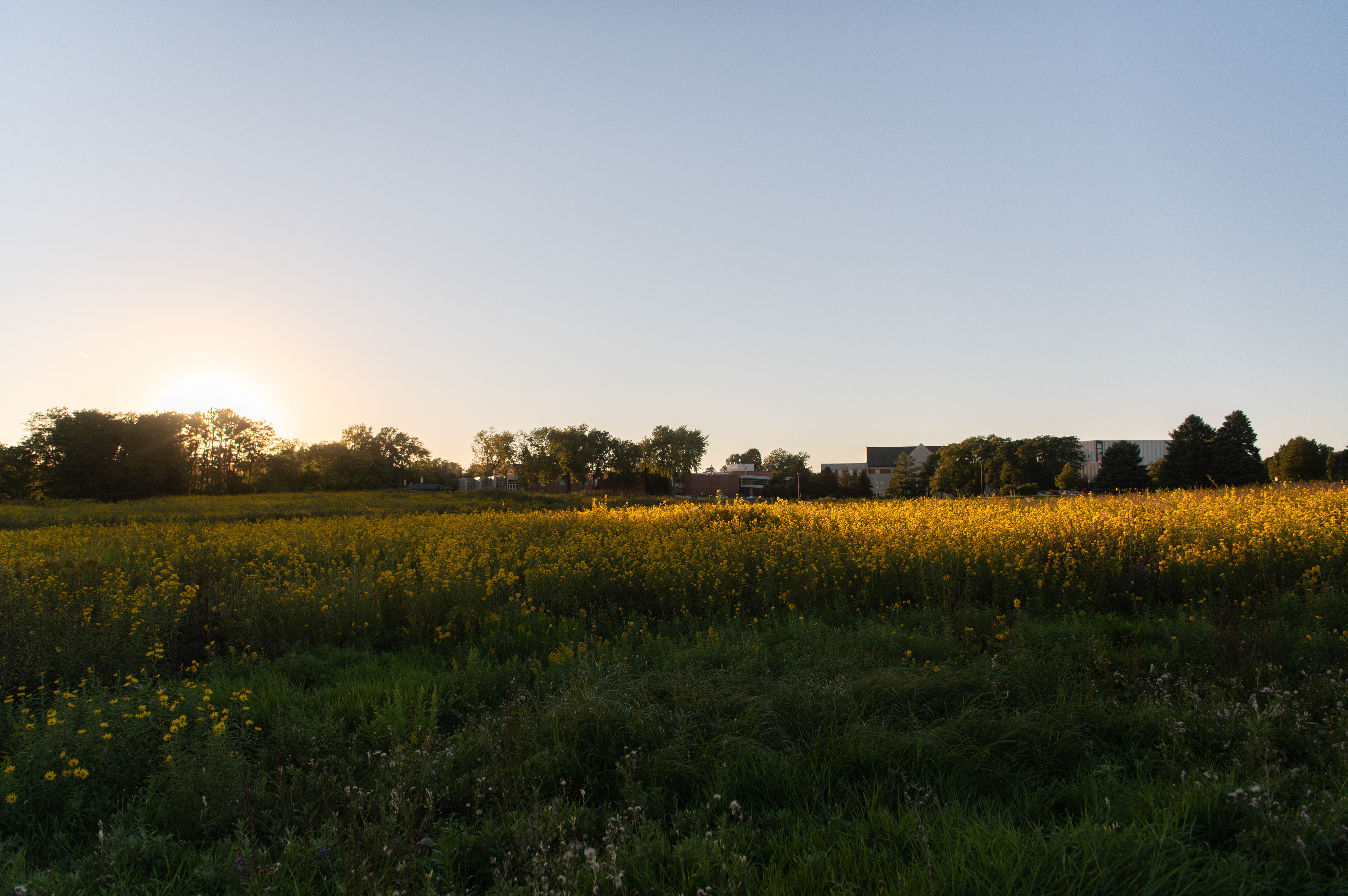 A picture of the Dordt Prairie