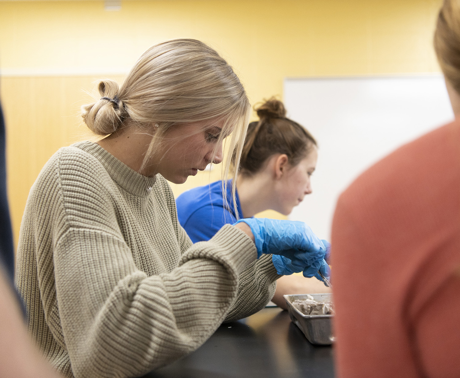 Female student in sweater examining parts in pan