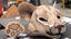 Lion mask