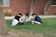 Students sit in a circle writing