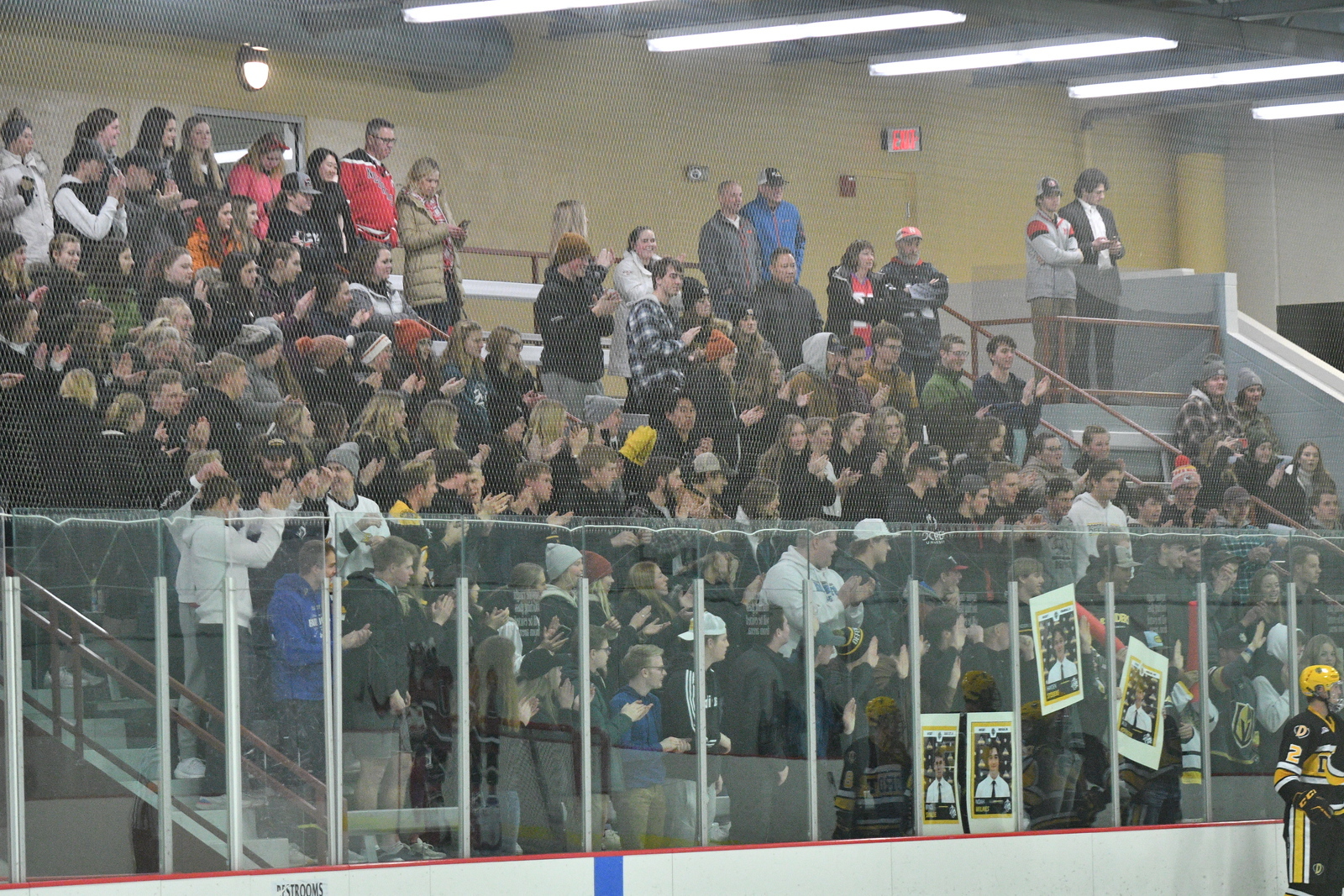 A picture of the crowd cheering at a hockey game