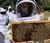 Student holding a lot of bees