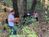students looking at the forest