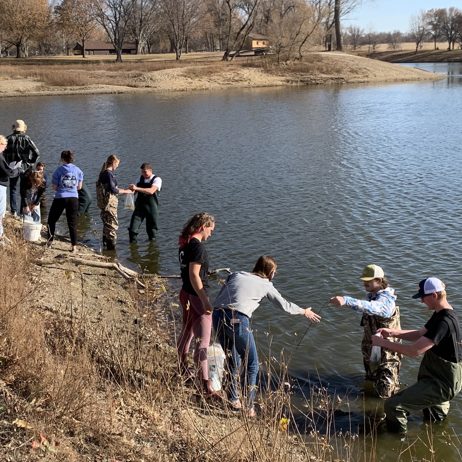 Students study species in the pond