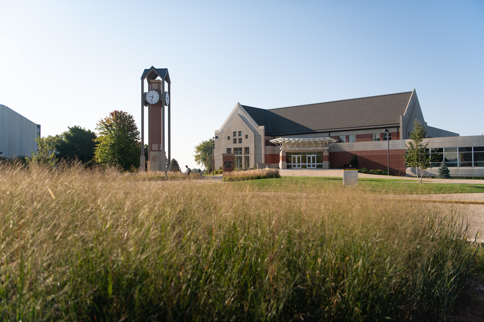 A picture of prairie grass with Dordt's campus in the background.