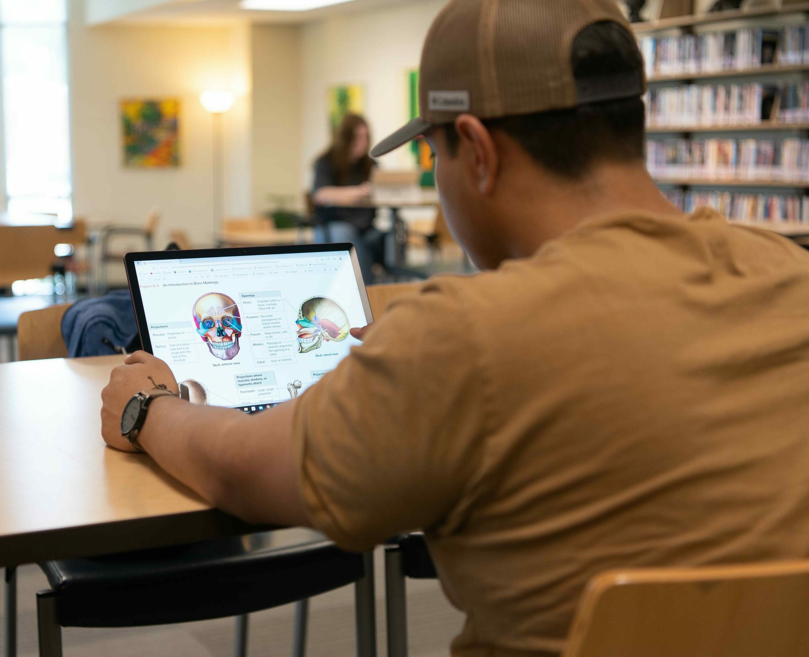 A student studies an diagram of a skull on his laptop