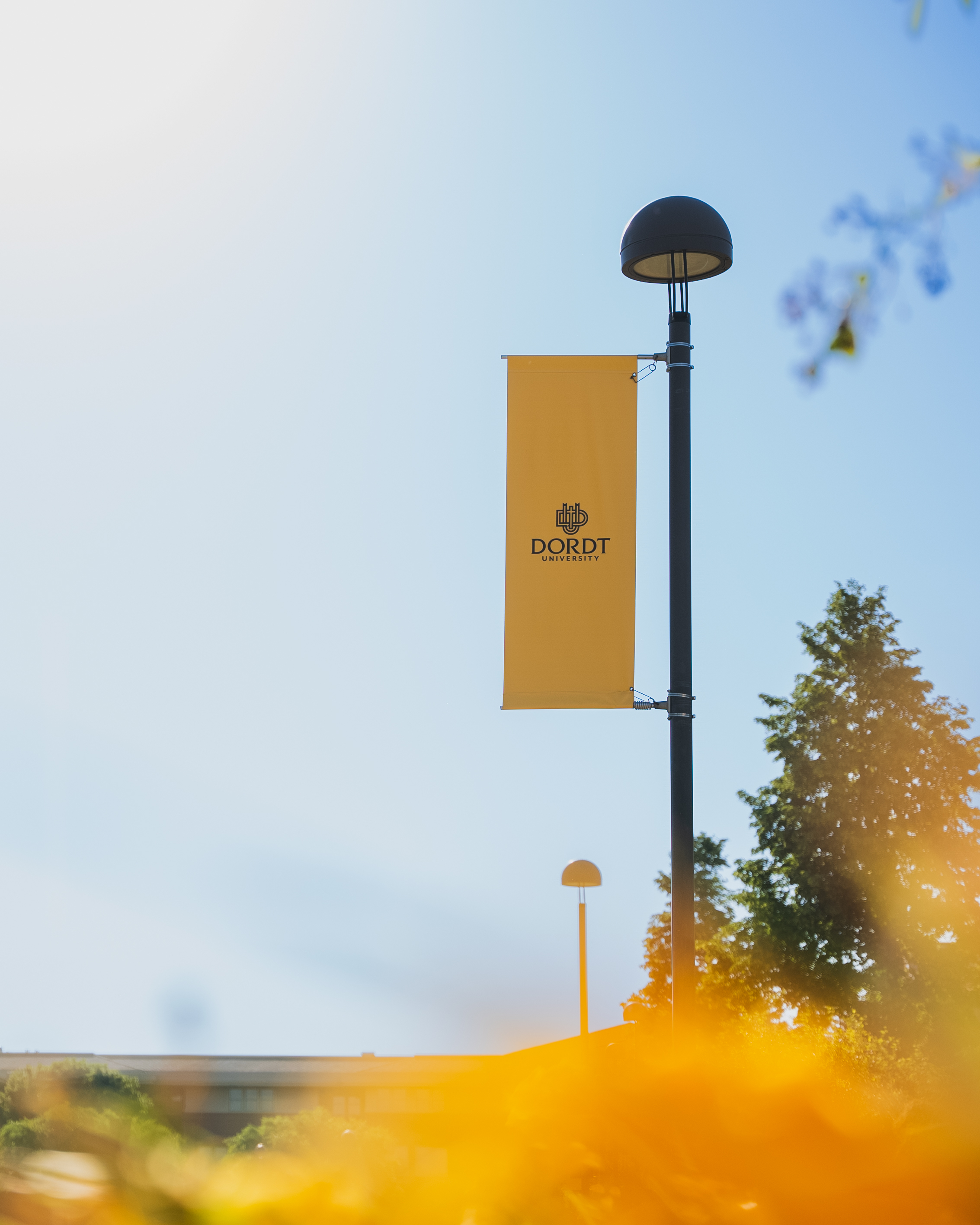 A picture of yellow flowers with a Dordt banner in the background